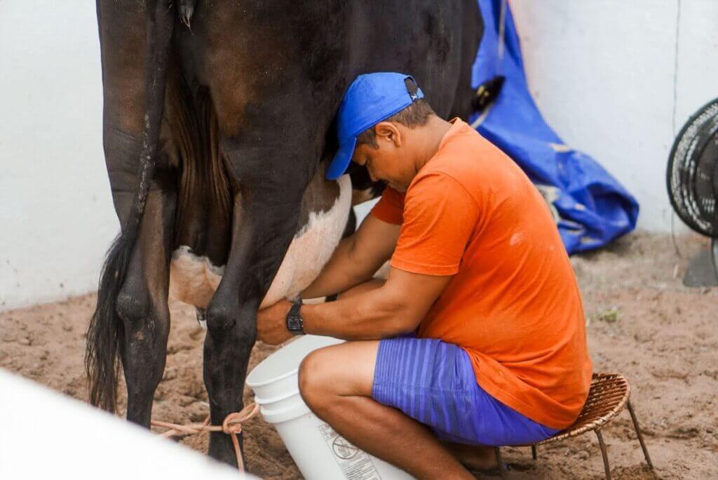 SINDLACTICINIOS EXPOJAGUAR 2025